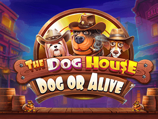 The Dog House - Dog or Alive game thumbnail