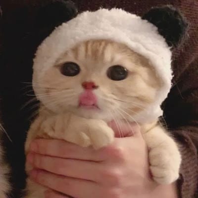 فضل الرحمٰن avatar