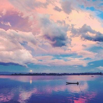 صبا حمید avatar