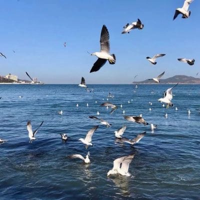 ارشد ندیم avatar